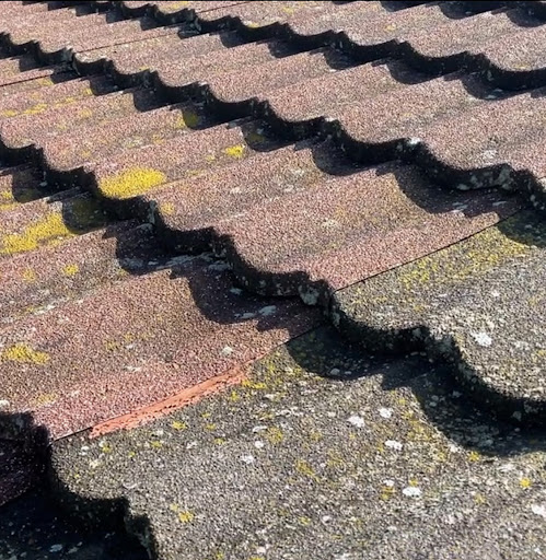 Anmeldelsesbillede 1 fra Nezam A.